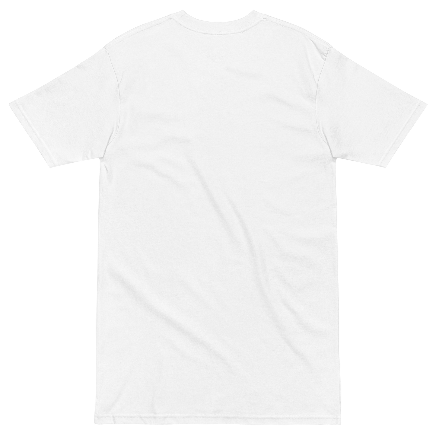 Steel & Saddle essential western tee in alternate view