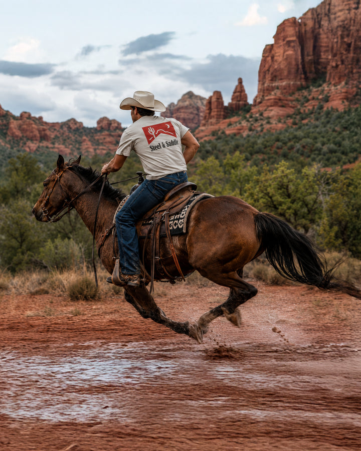 STEEL & SADDLE