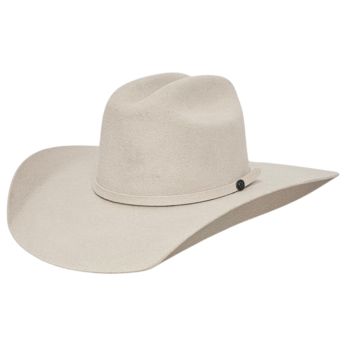 Gone Country Yellowstone 5X wool felt cowboy hat in silver belly, side view